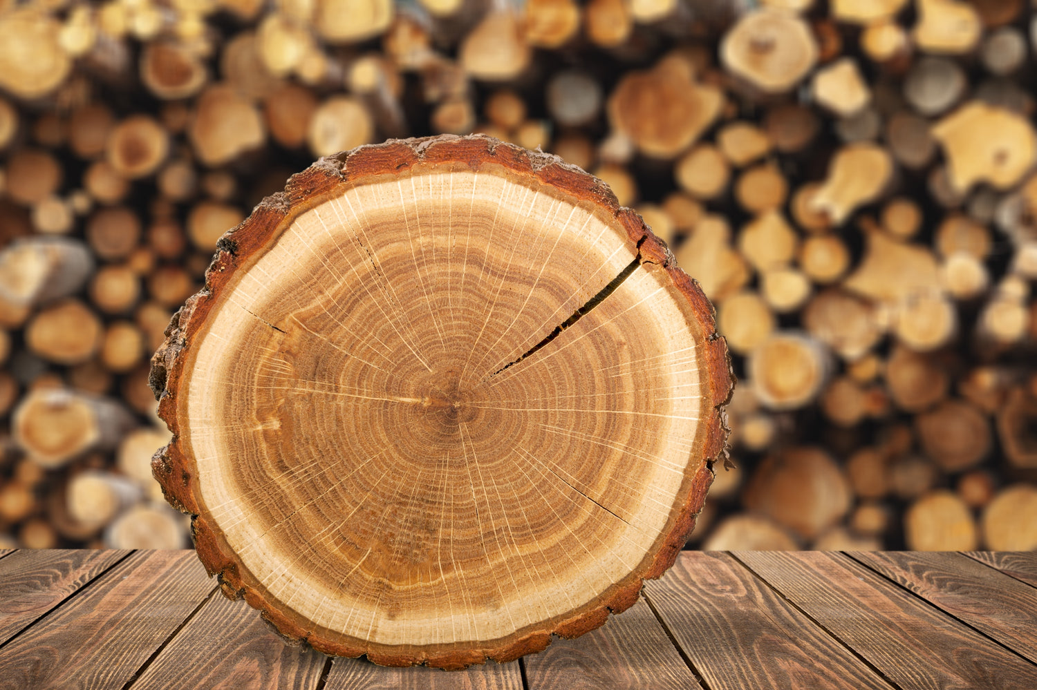 Wooden log cut in half on a wooden surface with stacked logs in the background