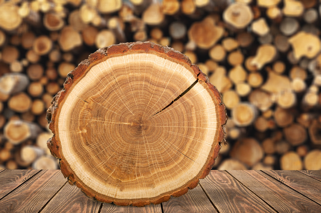 Wooden log cut in half on a wooden surface with stacked logs in the background